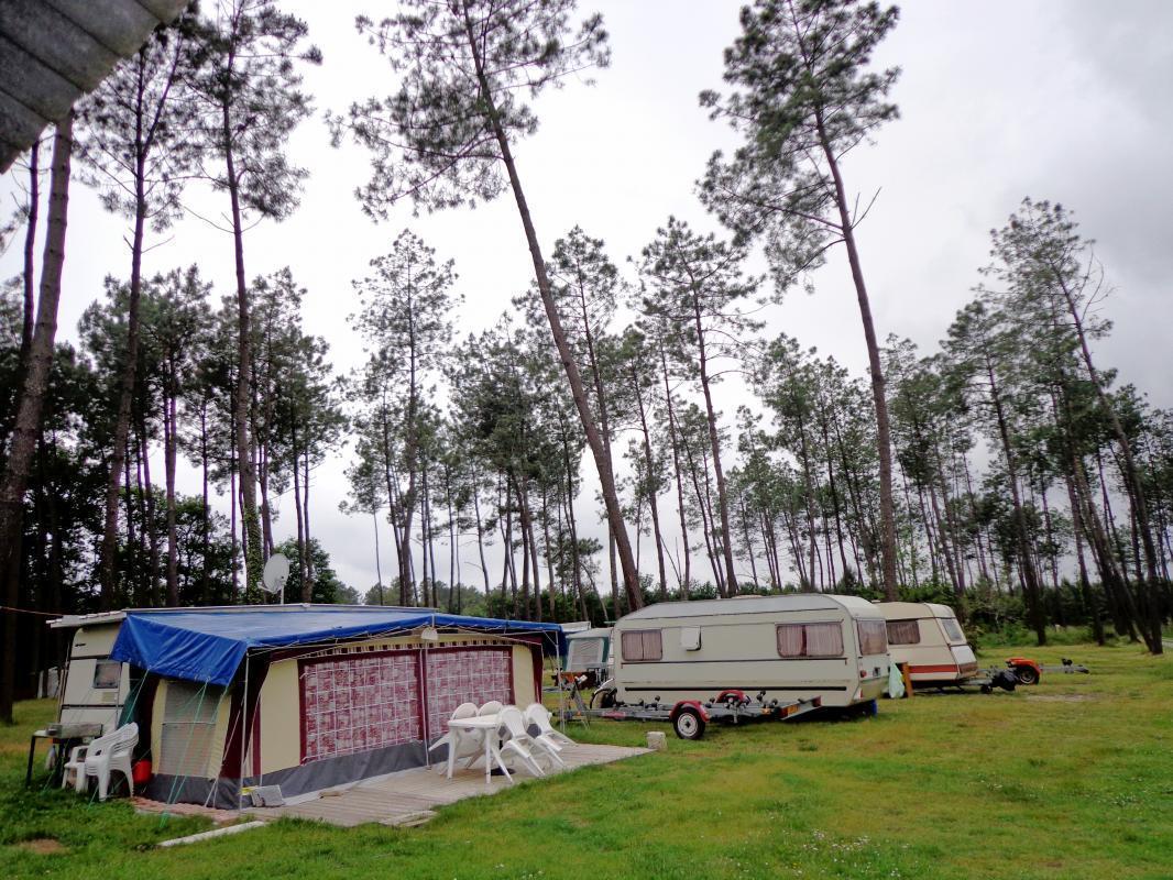 Photo h�bergement n�40601 &nbsp;dans&nbsp;Les Landes - Gites de france