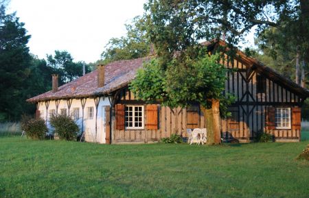 G&icirc;te n&deg;20707 Saint-Michel-Escalus - Landes - photo