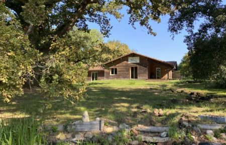 G&icirc;te de groupe n&deg;50510 Messanges - Landes - Le Tuc Lodge &agrave; Messanges