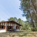 gite - Les Chardons - LIT-ET-MIXE - Landes