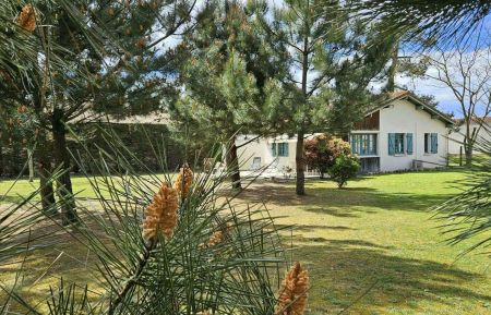 G&icirc;te n&deg;10698 Mimizan - Landes - photo