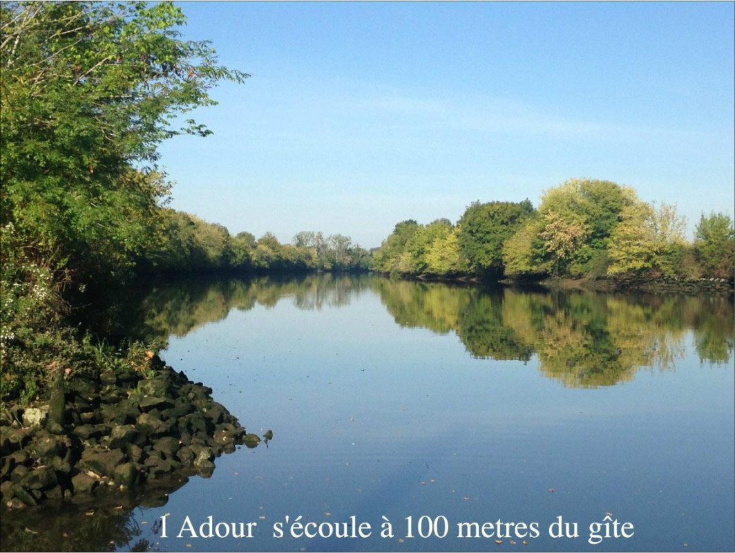 photo 39