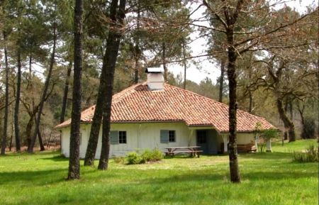 G&icirc;te n&deg;10278 Luglon - Landes - photo