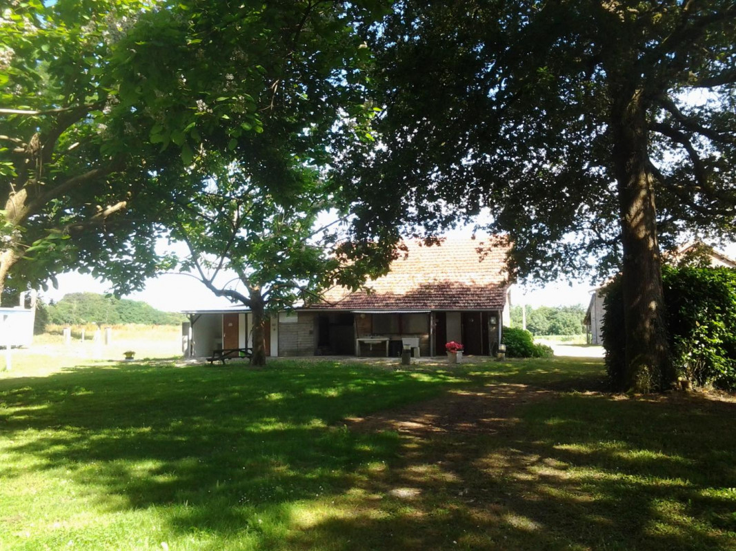 photo 0