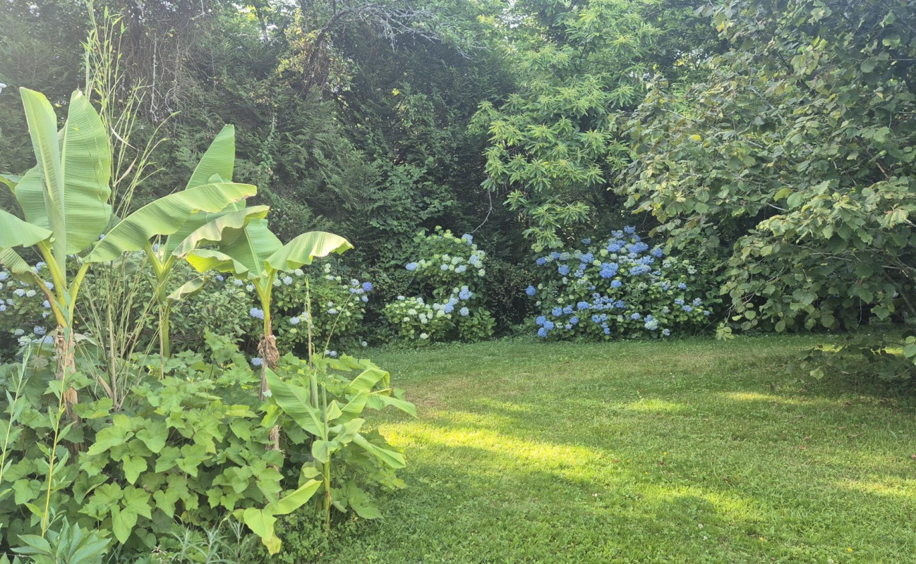 photo 57