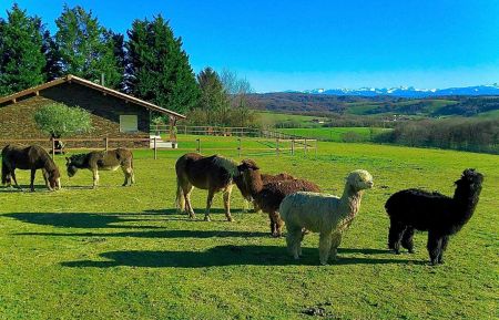 G&icirc;te n&deg;G142166 Bardos - Pyr&eacute;n&eacute;es-Atlantiques - photo